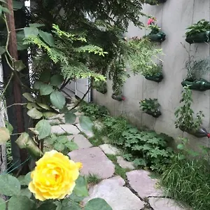 Auberge de jeunesse Pop Bogomil, Sofia